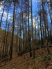 photo thumbnail #12