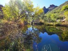 photo thumbnail #5