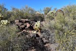 photo thumbnail #13