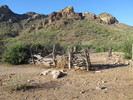 photo thumbnail #5