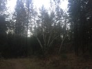 photo thumbnail #1