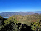 photo thumbnail #8
