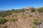photo thumbnail #13