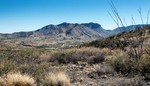 photo thumbnail #12