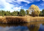 photo thumbnail #10