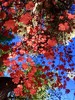 photo thumbnail #12