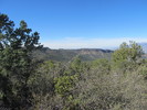 photo thumbnail #7