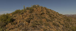photo thumbnail #11