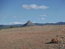 photo thumbnail #14