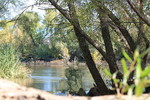 photo thumbnail #2
