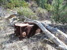 photo thumbnail #9