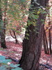 photo thumbnail #10