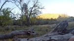 photo thumbnail #8