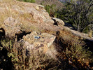 photo thumbnail #7