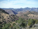 photo thumbnail #12