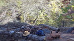 photo thumbnail #5