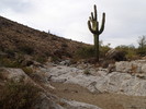photo thumbnail #9