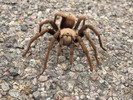 photo thumbnail #4