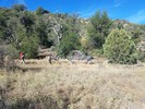 photo thumbnail #9