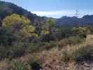 photo thumbnail #12