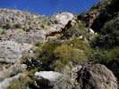 photo thumbnail #14