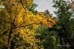 photo thumbnail #8