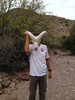 photo thumbnail #7