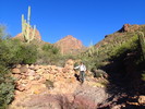 photo thumbnail #3
