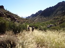 photo thumbnail #13
