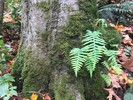 photo thumbnail #6