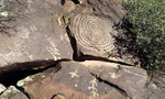 photo thumbnail #13