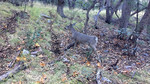 photo thumbnail #10