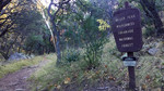 photo thumbnail #12