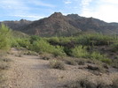 photo thumbnail #2