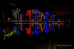 photo thumbnail #15