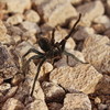 photo thumbnail #2