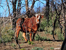 photo thumbnail #15