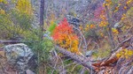 photo thumbnail #7