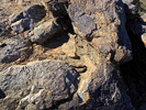 photo thumbnail #15
