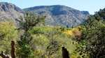 photo thumbnail #3