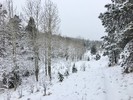 photo thumbnail #3