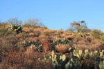 photo thumbnail #8