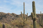 photo thumbnail #15