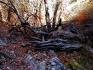 photo thumbnail #13