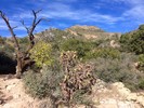 photo thumbnail #4