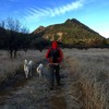 photo thumbnail #1