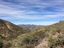 photo thumbnail #5