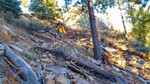 photo thumbnail #4