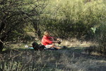 photo thumbnail #8