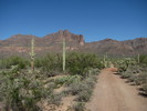 photo thumbnail #1